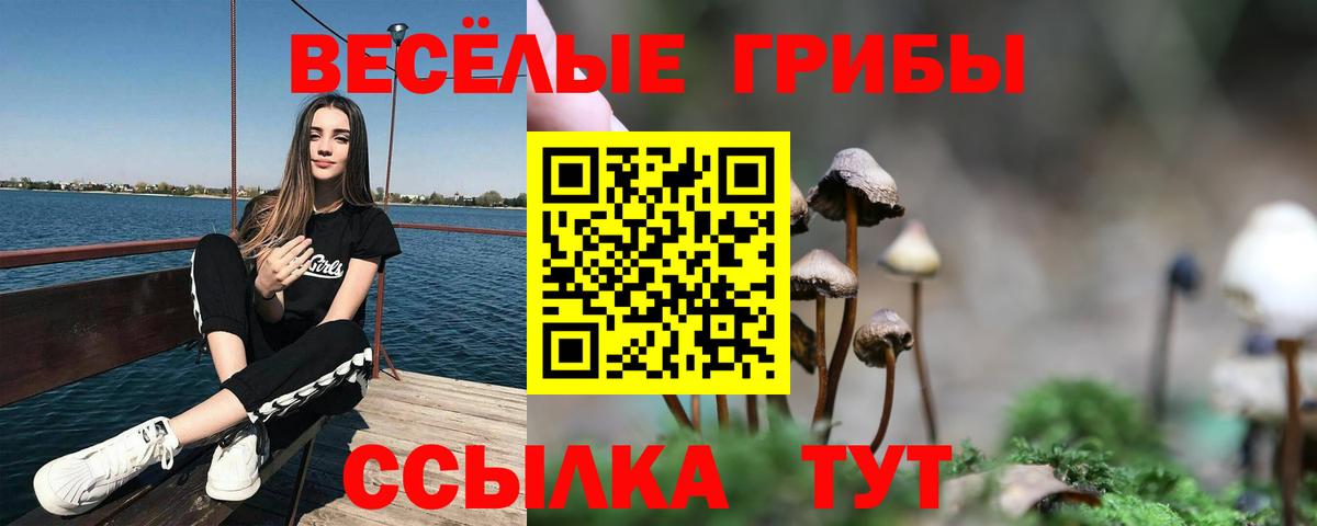 Галлюциногенные грибы мухоморы Ейск