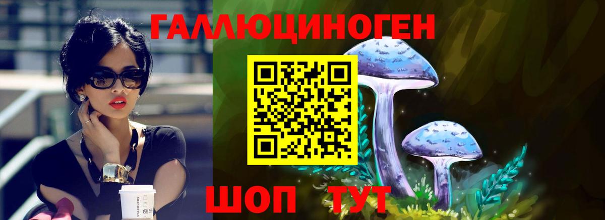 Галлюциногенные грибы Magic Shrooms  Галлюциногенные грибы Psilocybine cubensis  Вход с VPN  Ейск 